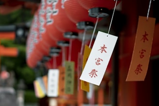 A student enthusiastically practicing basic Japanese with colorful flashcards.
