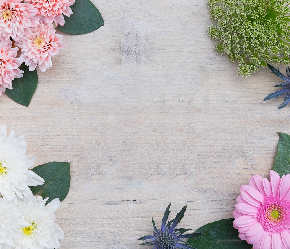 white and pink petaled flower on brown surface