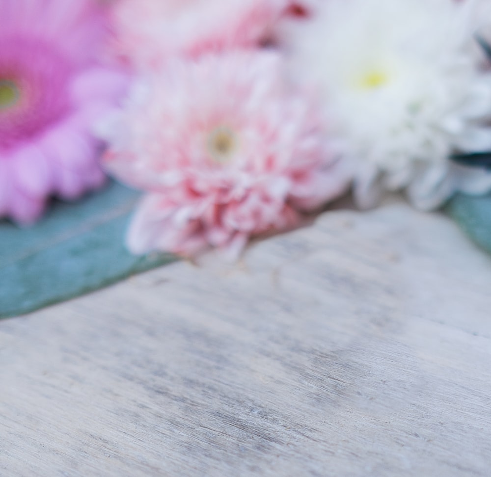 flowers on blue surface