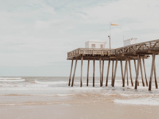 brown wooden dock near shore under cloudy sky in Ocean City United States