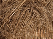 A close-up view of a dense network of brown fibers, resembling natural materials with a rough texture. The fibers appear tangled and intertwined, creating a chaotic yet organic pattern.