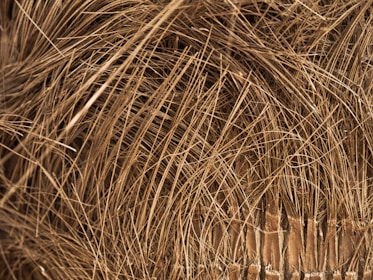 A close-up view of a dense network of brown fibers, resembling natural materials with a rough texture. The fibers appear tangled and intertwined, creating a chaotic yet organic pattern.