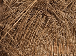 A close-up view of a dense network of brown fibers, resembling natural materials with a rough texture. The fibers appear tangled and intertwined, creating a chaotic yet organic pattern.