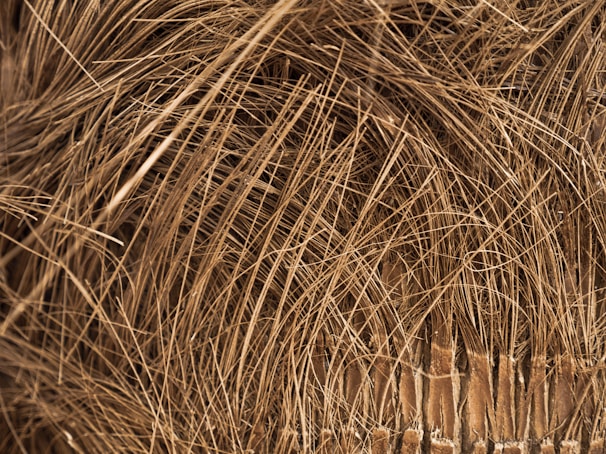 A close-up view of a dense network of brown fibers, resembling natural materials with a rough texture. The fibers appear tangled and intertwined, creating a chaotic yet organic pattern.