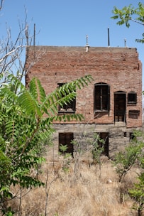 A two-story abandoned brick building with boarded-up windows surrounded by overgrown vegetation. The structure appears weathered and neglected, with dry grass covering the foreground.
