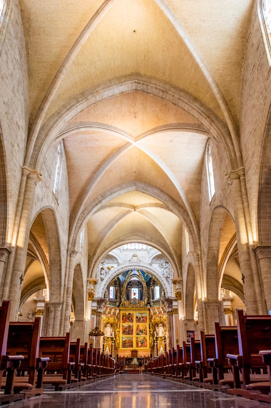 person showing church hallway to altar in Saint Mary of Valencia Cathedral Spain