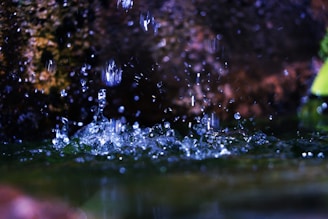 Water droplets splash in mid-air, with ripples forming on the surface. The background is a mix of dark tones, adding contrast to the clear water droplets.