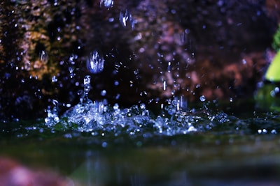 Water droplets splash in mid-air, with ripples forming on the surface. The background is a mix of dark tones, adding contrast to the clear water droplets.