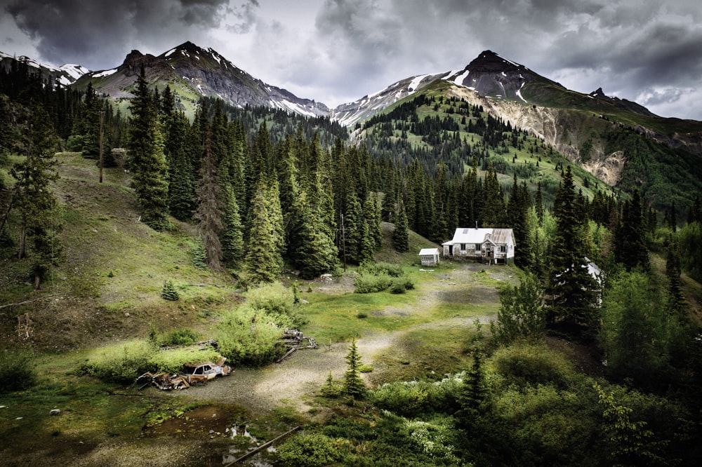 white house surrounded with pine trees near mountain