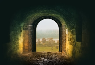 a dark tunnel with an open door leading to a grassy field