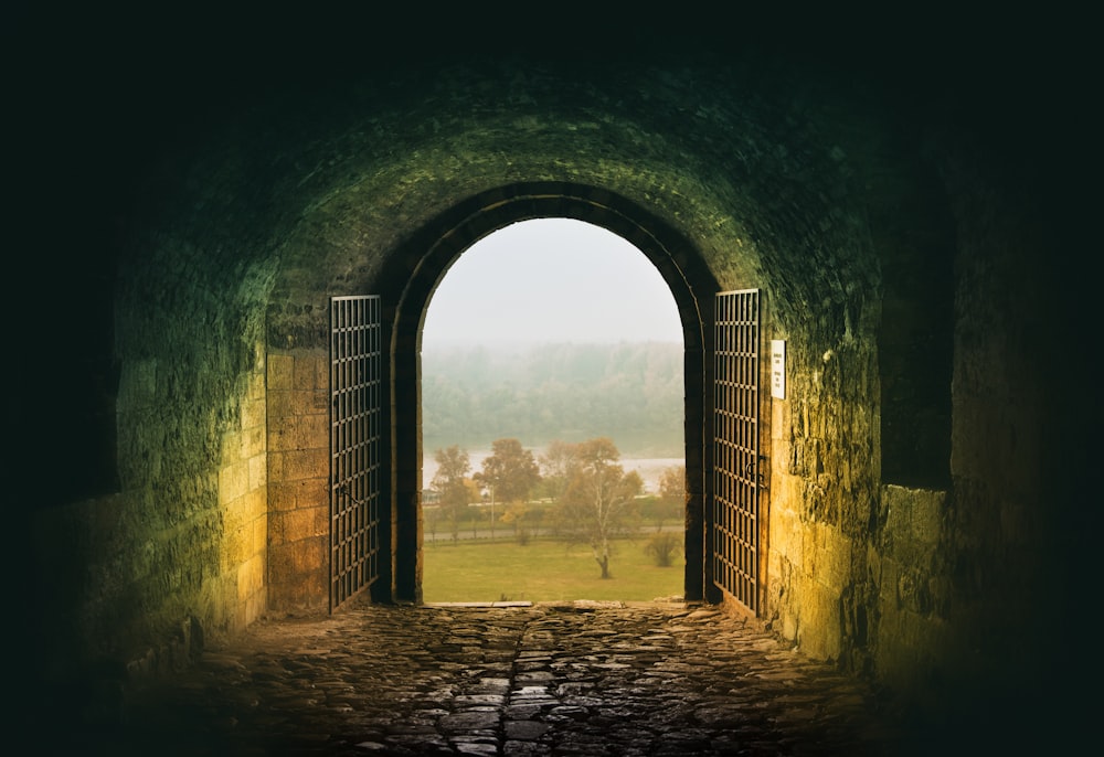 a dark tunnel with an open door leading to a grassy field