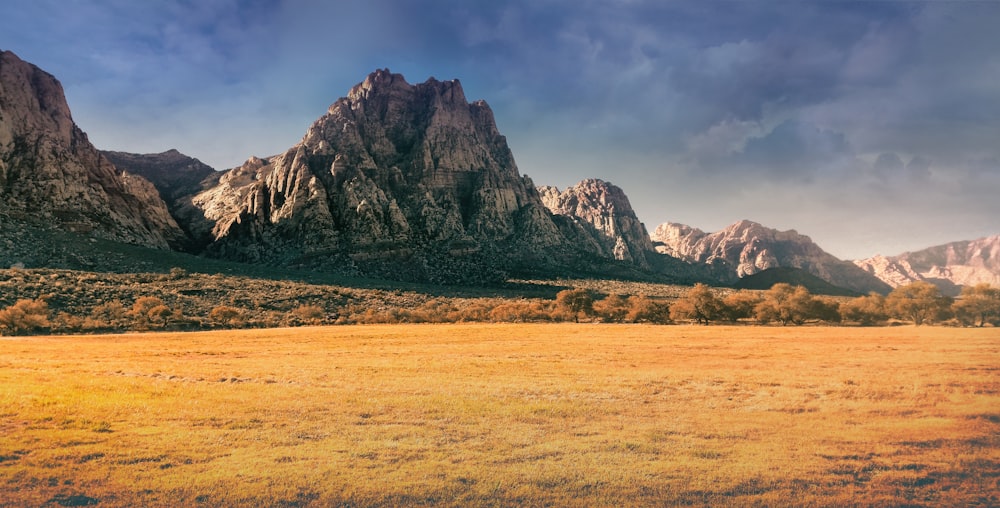 scenery of plain field and mountain