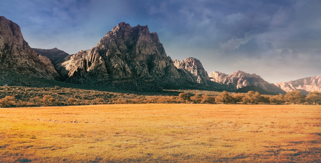 Ecoregion photo spot Spring Mountain Ranch State Park Las Vegas