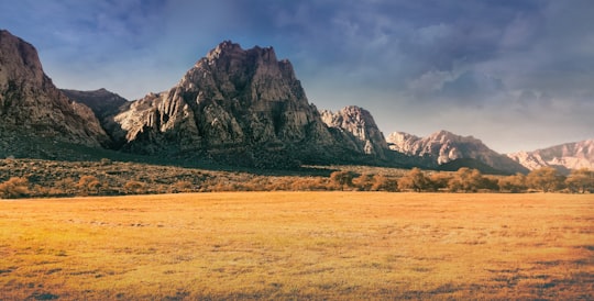 scenery of plain field and mountain in Red Rock Canyon National Conservation Area United States