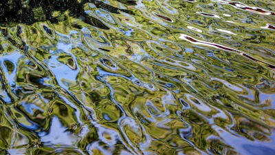 Abstract representation of quantum frequencies interacting with water molecules