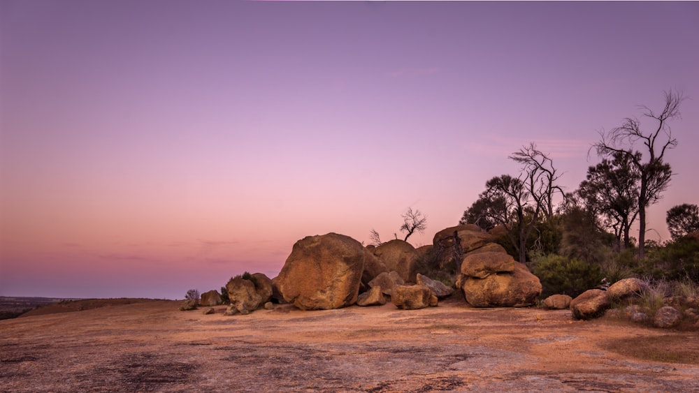 rocks on shore