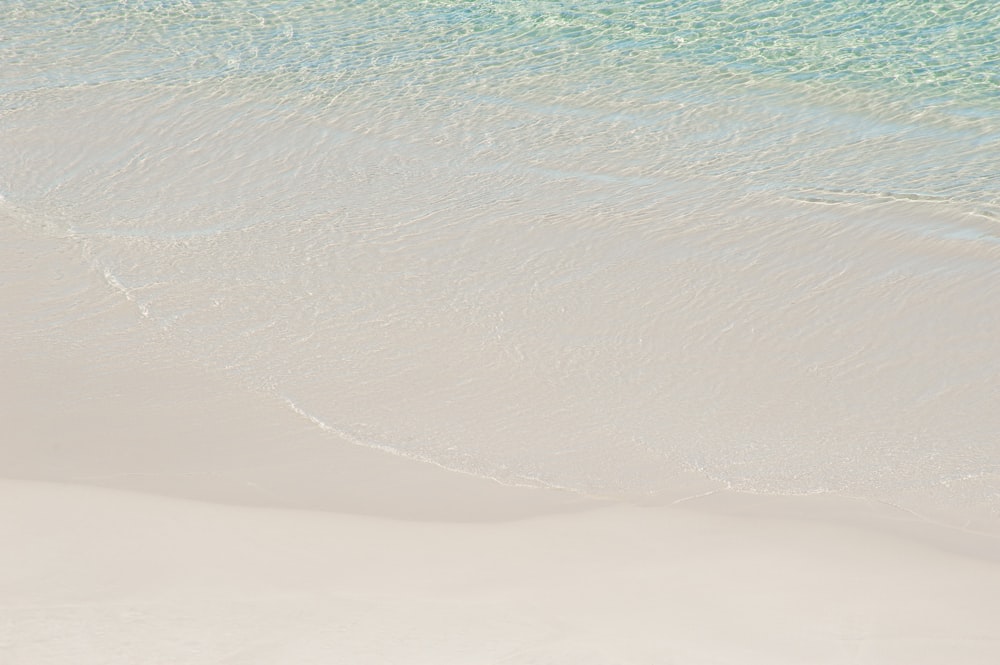 a couple of people walking along a beach next to the ocean