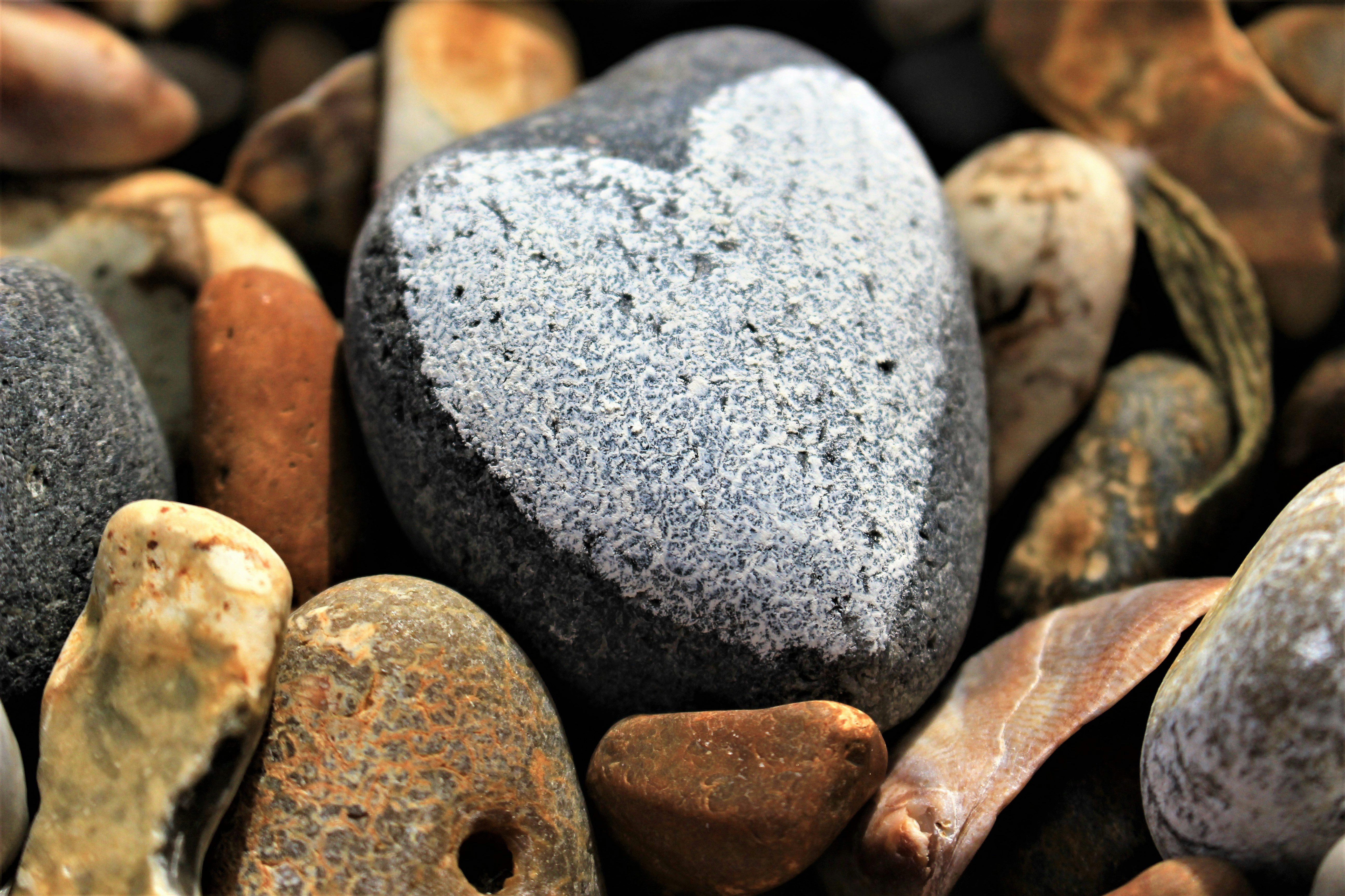 photo 1530431742572 a7b98ca72ce1?ixlib=rb 4.0