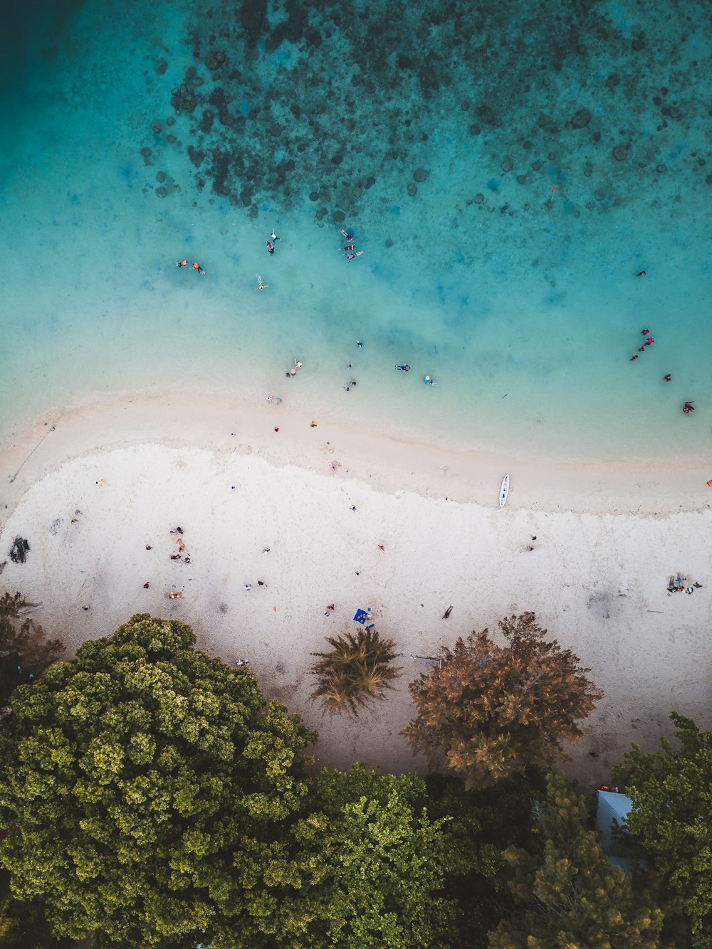 foto aerea della spiaggia