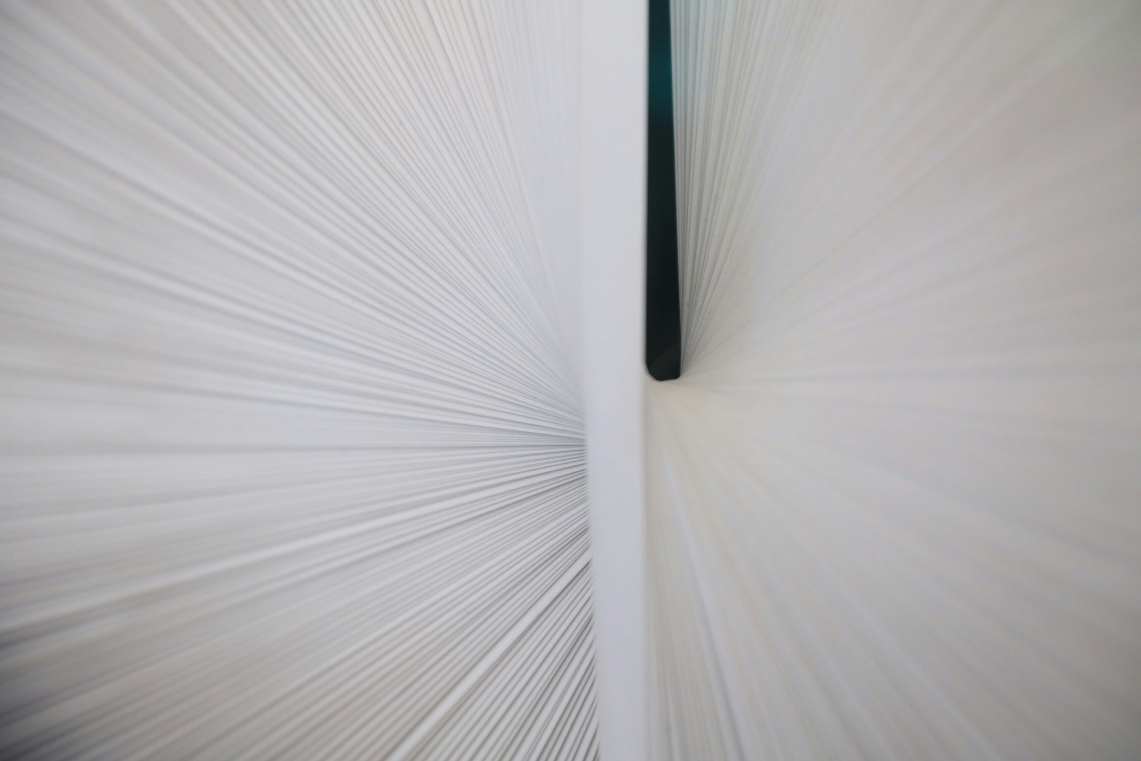 Beauty in the details…