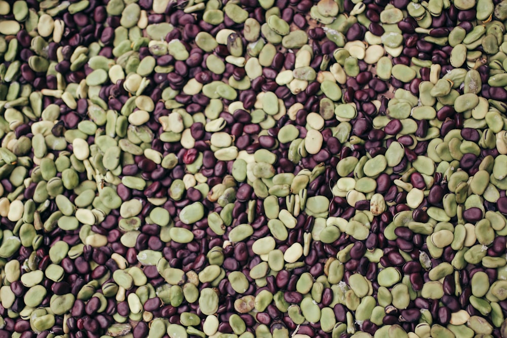 green and brown seeds