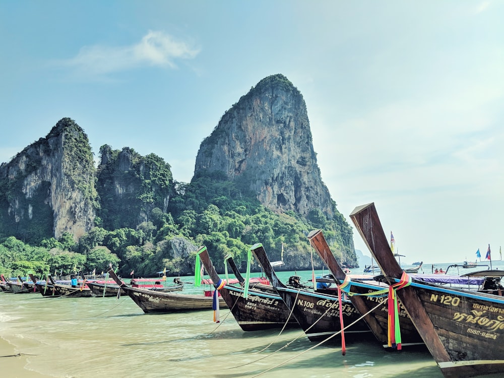 boats on beach shore