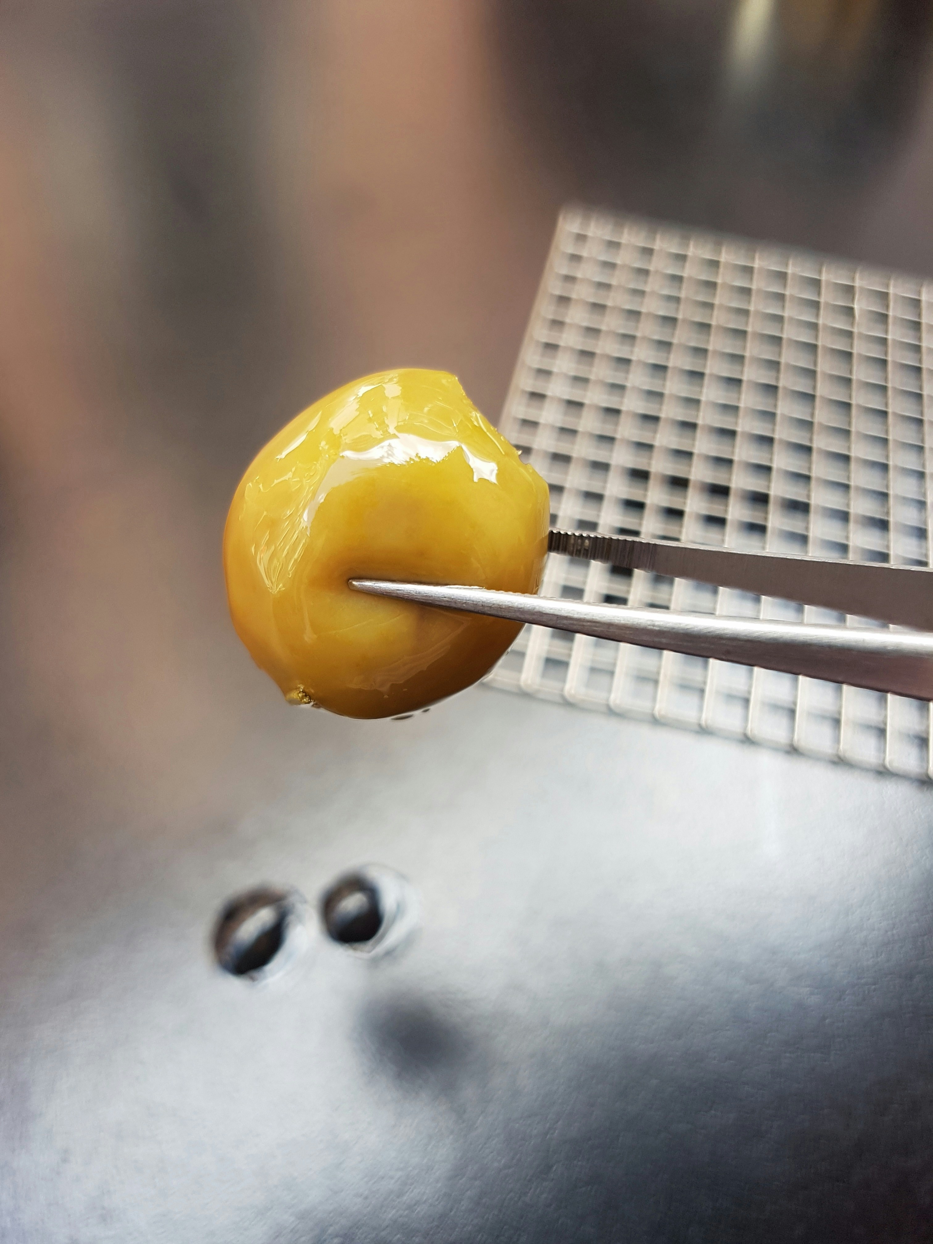 Photography by Daniel Lombraña