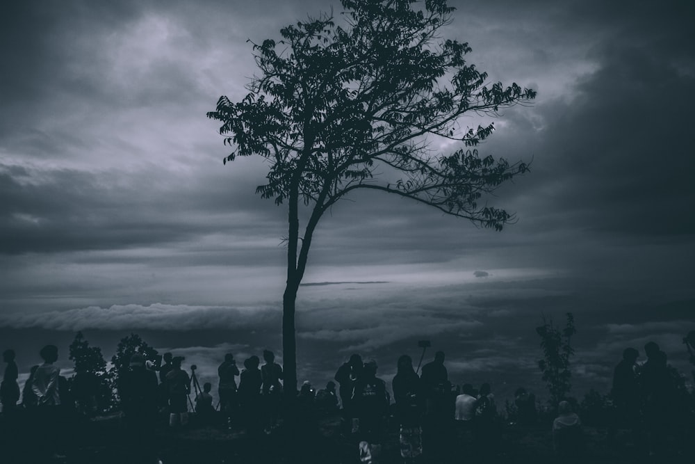 silhouette of people near tree