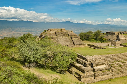 green trees under blue cloudy sky scenery in Monte Albán Mexico