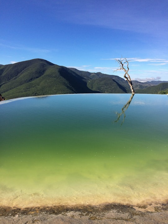 bare tree on body of water in Hierve el Agua Mexico