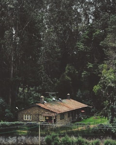 A rustic stone house is nestled among dense, tall trees, surrounded by lush greenery. The roof of the house is slightly weathered, with visible chimneys and satellite dishes. The windows are decorated with yellow frames, adding a quaint touch. The scene conveys a sense of tranquility and isolation within a forest setting.