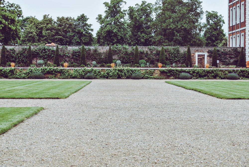 topiary grass on garden in front house