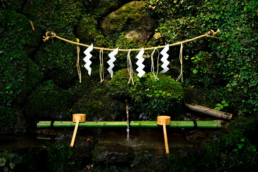 bamboo tree bench