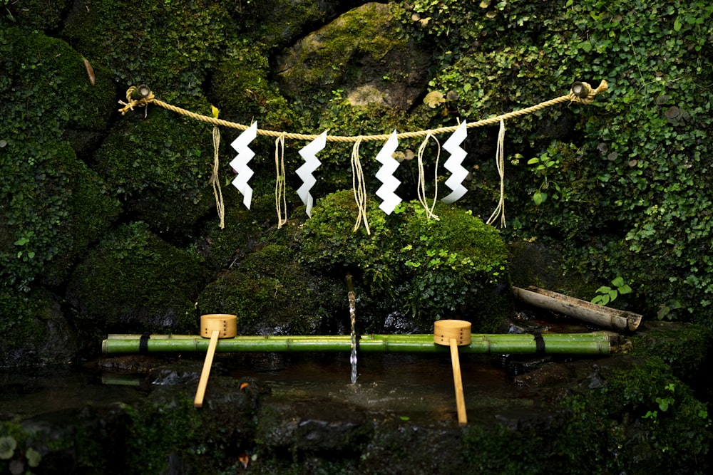 bamboo tree bench