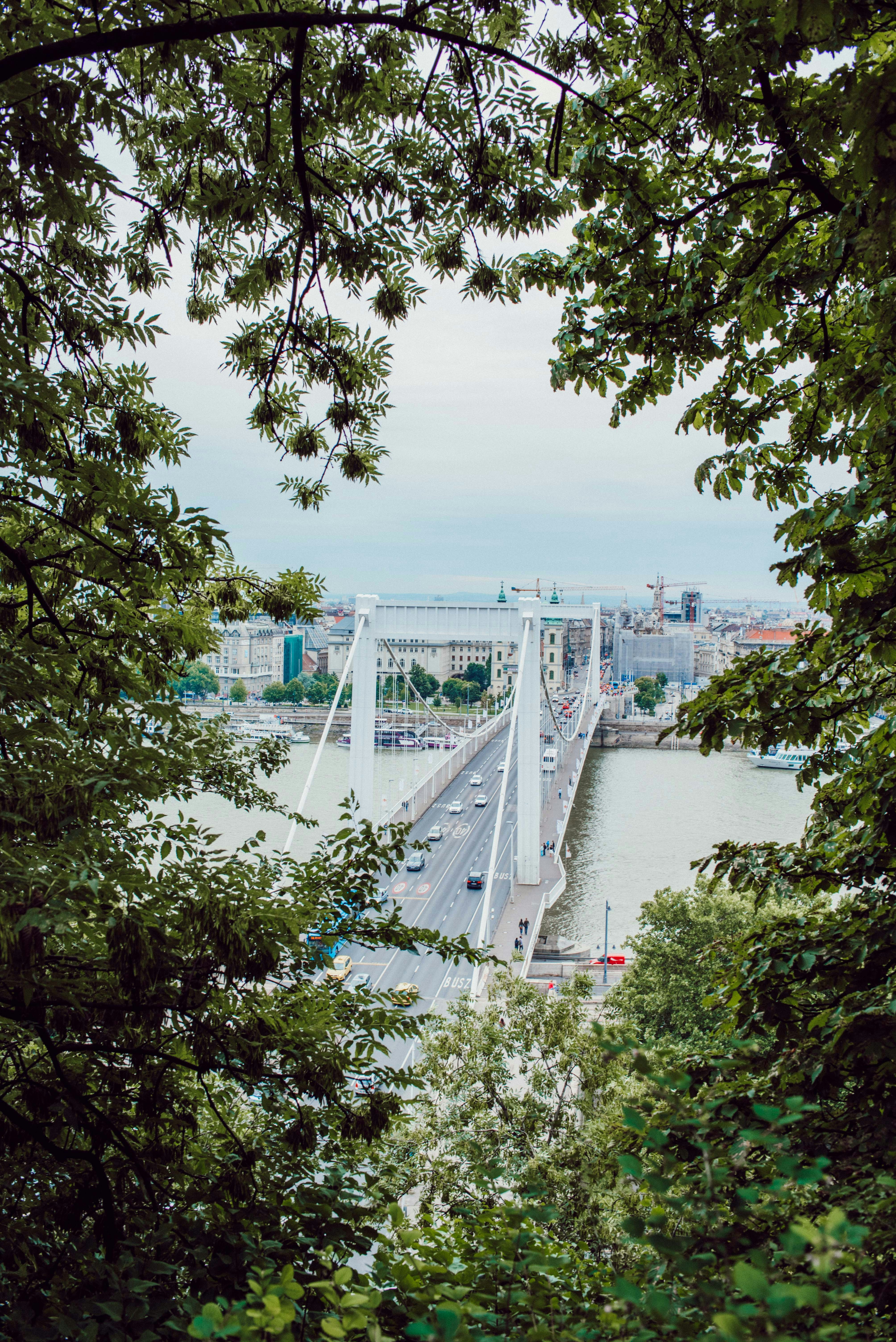 Photo by sinzianasusa