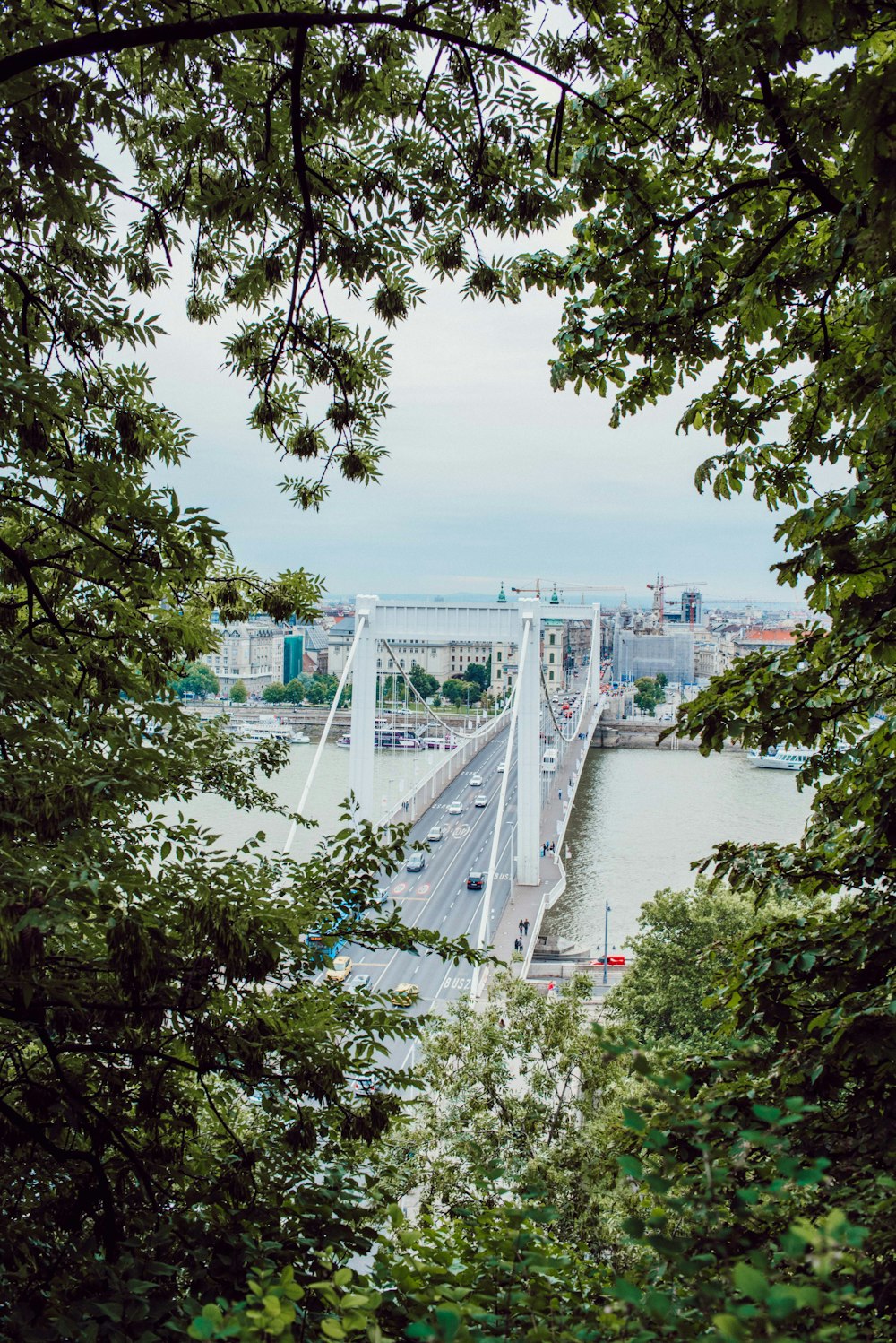 white bridge during daytime