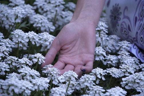 A gentle hand tending to a serene gravesite surrounded by fresh flowers.
