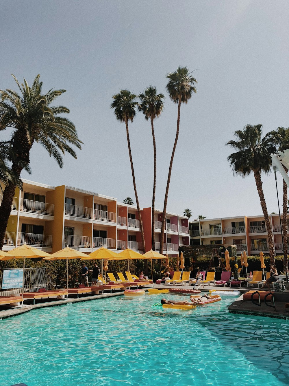 palm trees near pool and building