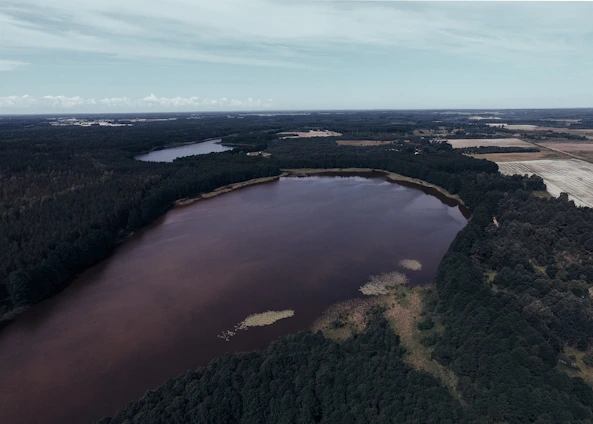 Aerial view of a spacious land plot with nearby forest and lake.