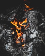 a close up of a fire in the middle of a field