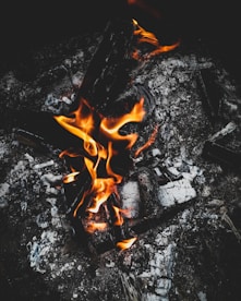 a close up of a fire in the middle of a field