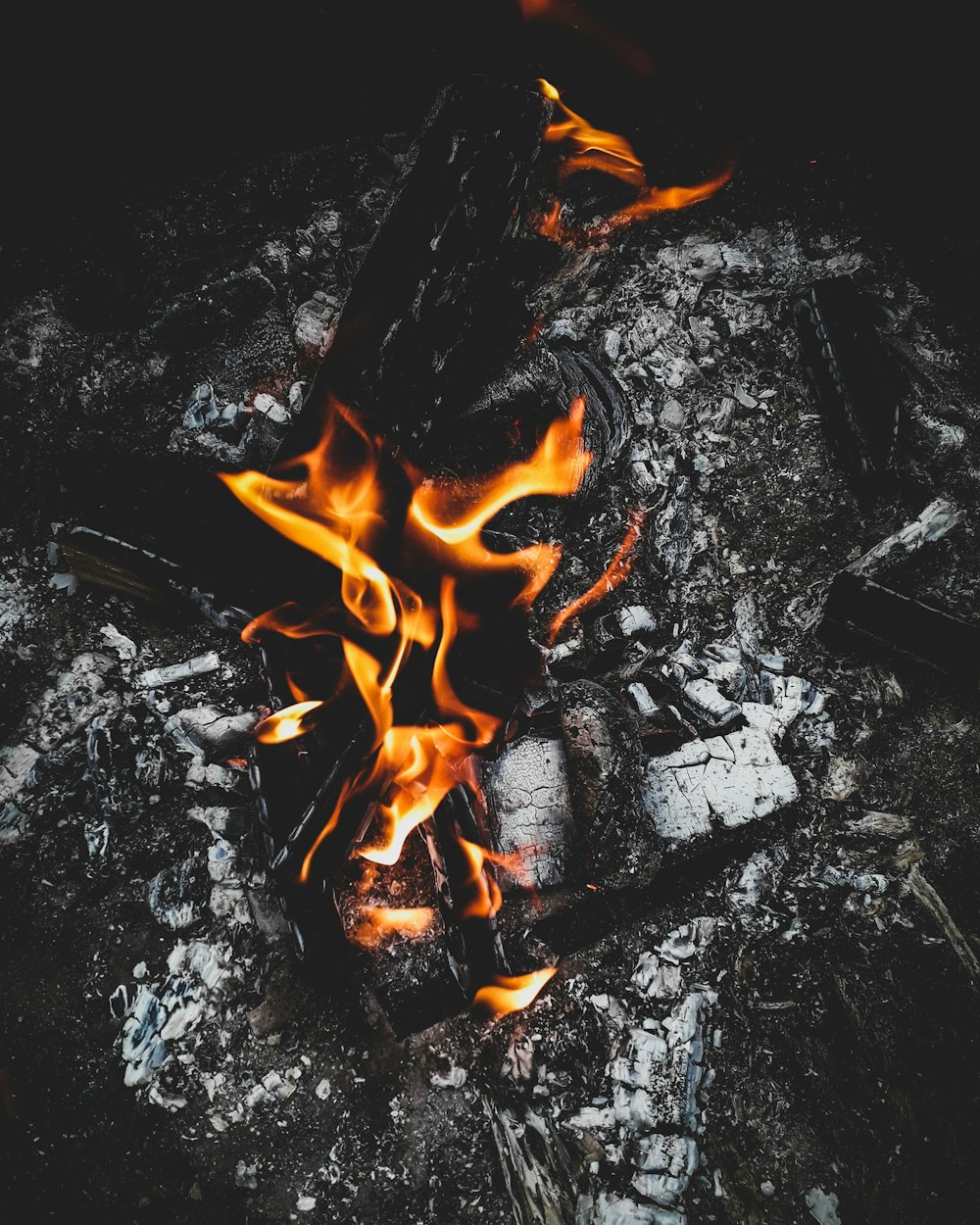 a close up of a fire in the middle of a field