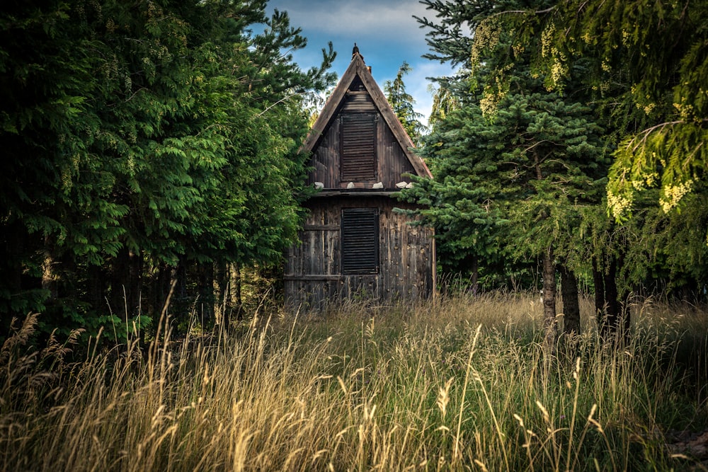 braunes Holzhaus in der Nähe von Bäumen während des Tages