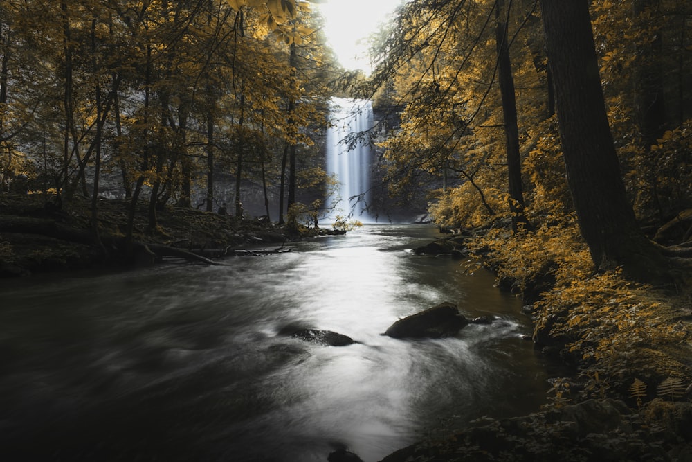 Cascata circondata da alberi