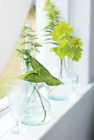 Elegant ceramic vases arranged on a sunlit windowsill