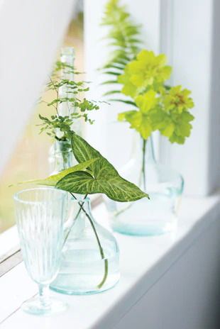 A serene morning scene with Verde Vitale sprays arranged on a wooden table near a window with soft sunlight.