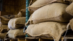 Stacks of burlap sacks resting on wooden pallets are arranged in a warehouse or storage facility. The sacks, likely filled with agricultural products like coffee beans or grains, appear weathered yet sturdy. The industrial shelving provides support to the weight of the sacks.