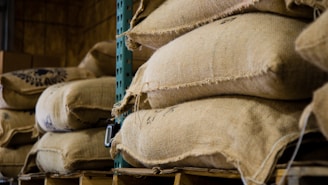 Stacks of burlap sacks resting on wooden pallets are arranged in a warehouse or storage facility. The sacks, likely filled with agricultural products like coffee beans or grains, appear weathered yet sturdy. The industrial shelving provides support to the weight of the sacks.