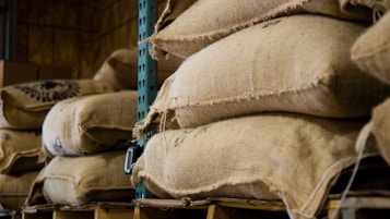 Stacks of burlap sacks resting on wooden pallets are arranged in a warehouse or storage facility. The sacks, likely filled with agricultural products like coffee beans or grains, appear weathered yet sturdy. The industrial shelving provides support to the weight of the sacks.