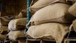 Stacks of burlap sacks resting on wooden pallets are arranged in a warehouse or storage facility. The sacks, likely filled with agricultural products like coffee beans or grains, appear weathered yet sturdy. The industrial shelving provides support to the weight of the sacks.
